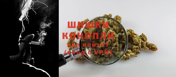 PSILOCYBIN Беломорск