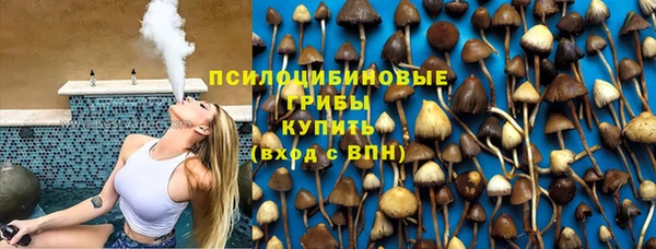 ALPHA PVP Богородицк